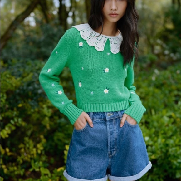 ZARA Bloggers Favorite Embroidered Knit Sweater - Picture 6 of 11